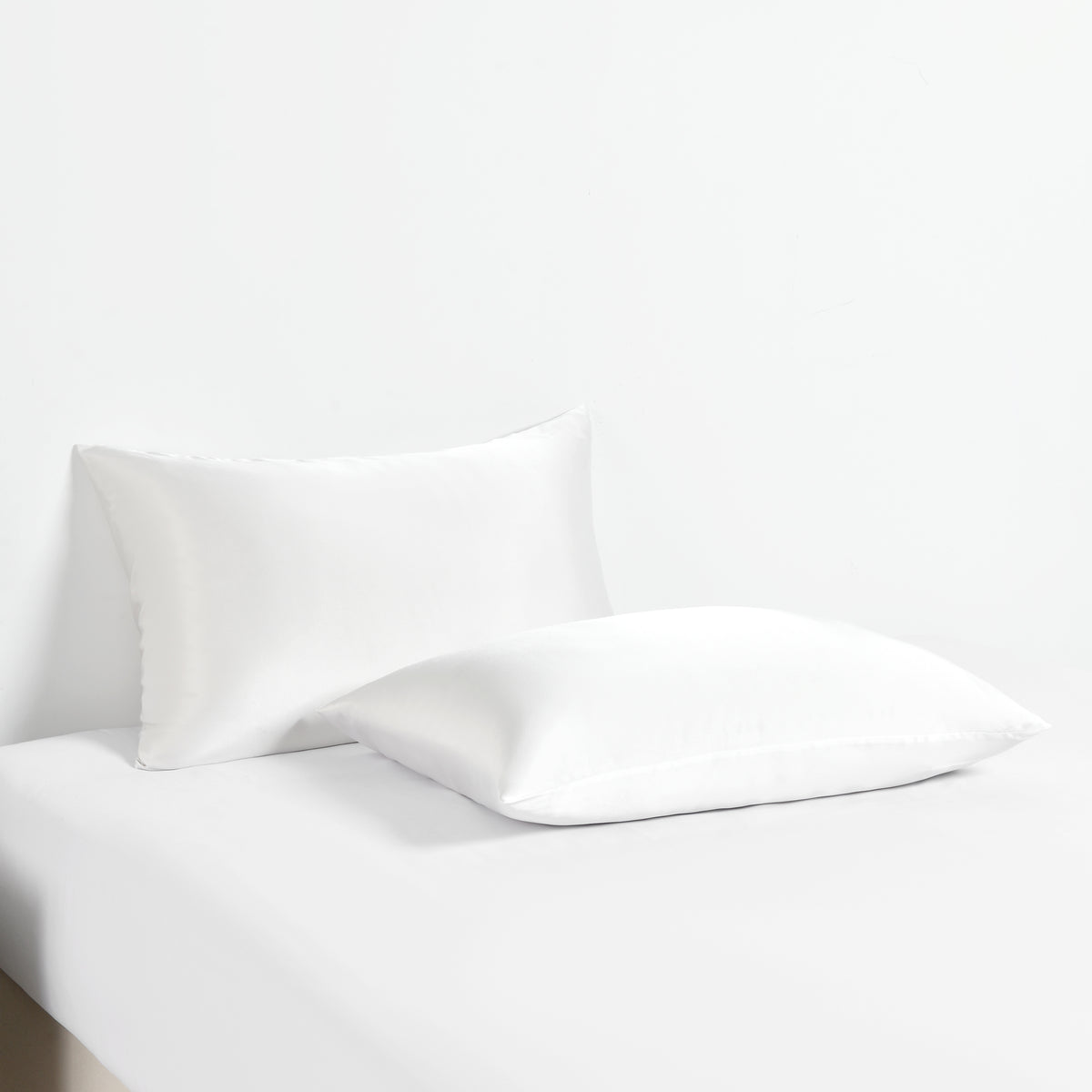 2 Pack 19 Momme Zippered Silk Pillowcase